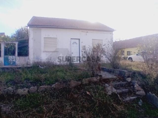 T3 Camparca Soure