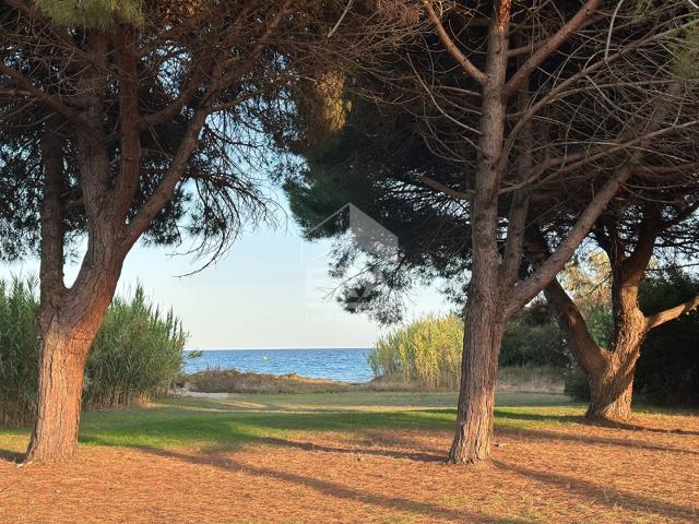 T3 dans une résidence en bord de mer 46m² Poggio Mezzana