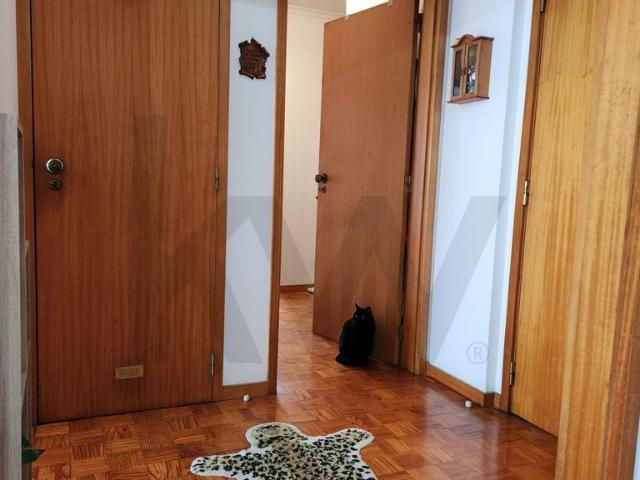 T3 em prdio com elevador e condomnio organizado