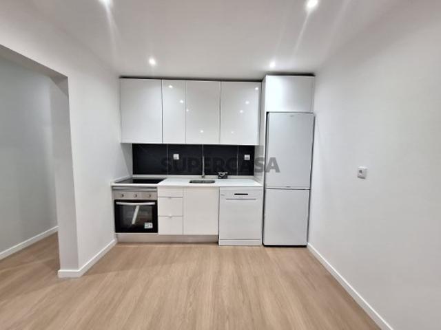 T3 em remodelação total com logradouro Falagueira