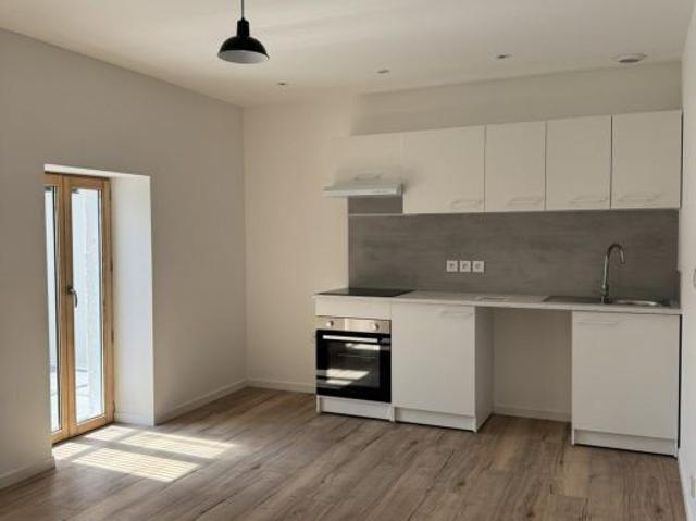 T3 ENTIEREMENT RENOVER AVEC TERRASSE