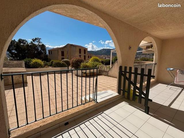 T3 Grande terrasse Calvi