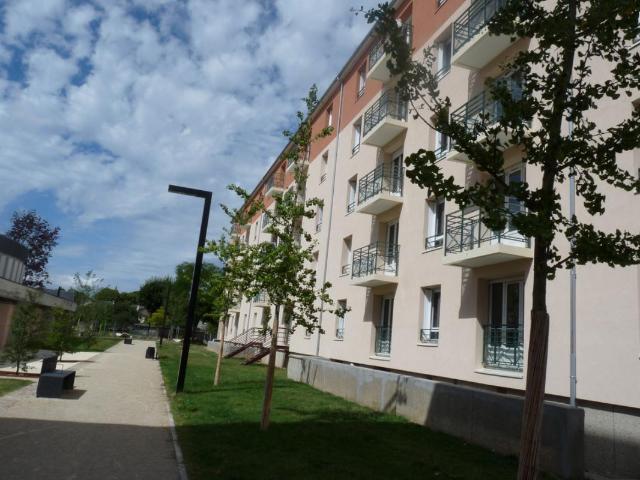 T1