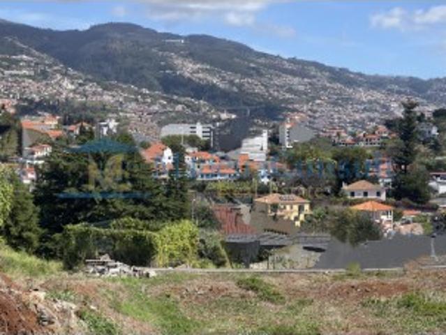 T1 Virtudes: Piscina e Golf | S. Martinho, Funchal