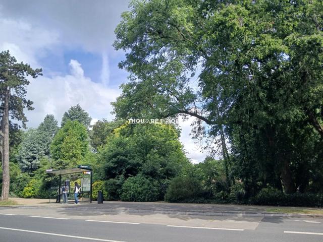 T1 MEUBLE EN FACE DU PARC DE PROCE