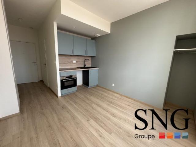 T1 RENOVE COMME NEUF HYPER CENTRE VILLE