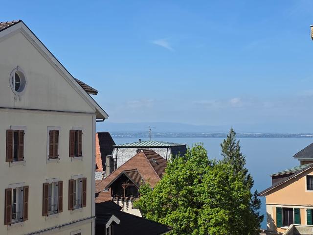 T2 60 m2 VUE LAC + PARKING Hyper centre Évian les Bains