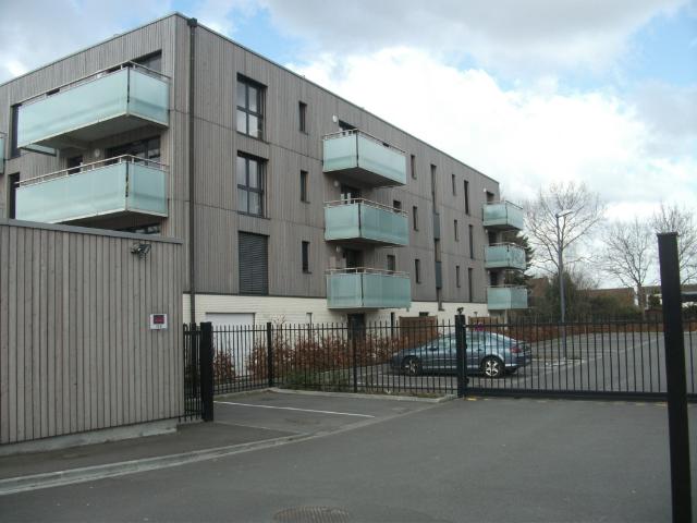 T2