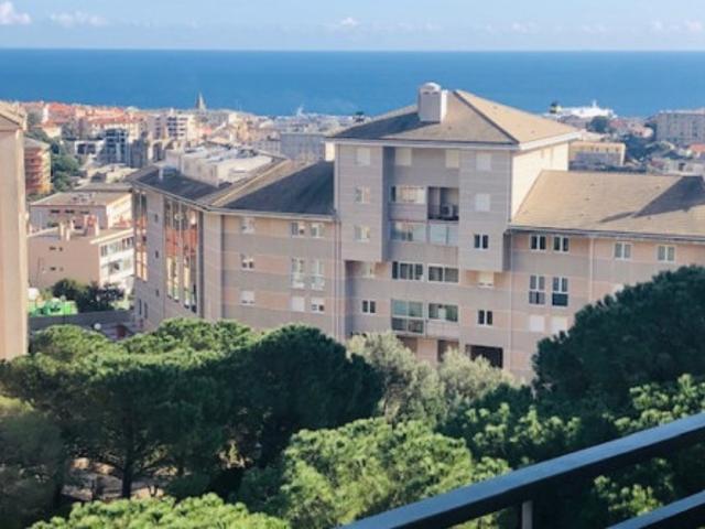T2 à Bastia à louer Locagestion, expert en gestion locative