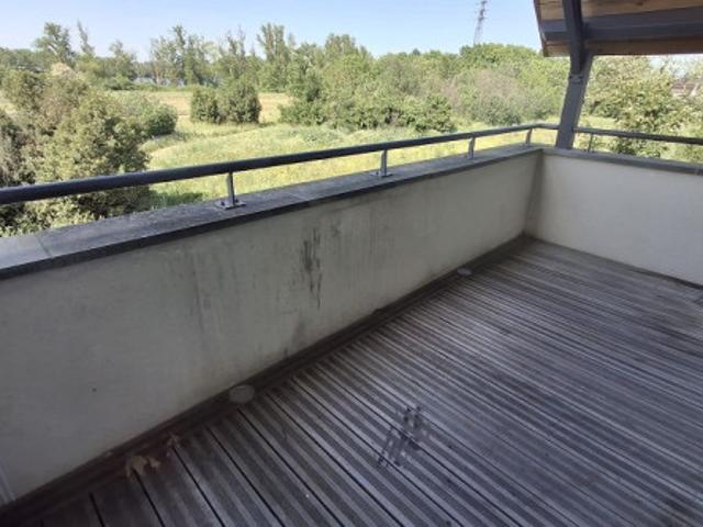 T2 à Fenouillet à louer Locagestion, expert en gestion locative