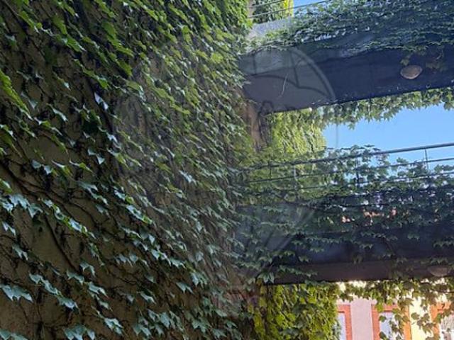 T2 à Toulouse à louer Locagestion, expert en gestion locative