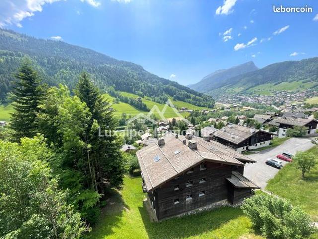 T2 avec vue imprenable sur les Aravis Le Grand Bornand