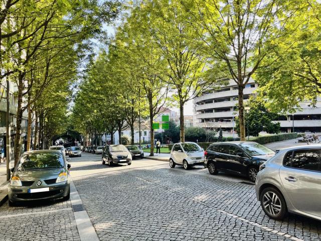 T2 BAIXA DO PORTO
