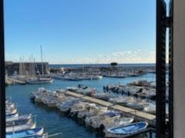 T2 Cassis 13260