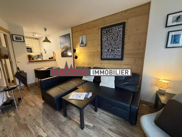 T2 Chamonix centre 29m² Chamonix Mont Blanc