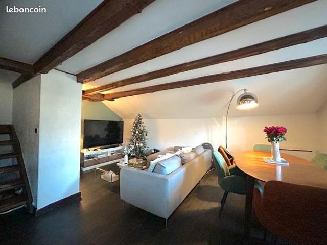 T2 duplex avec très belle vue en centre ville
