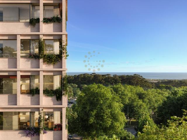 T2 | Espaço, luz natural e qualidade de vida