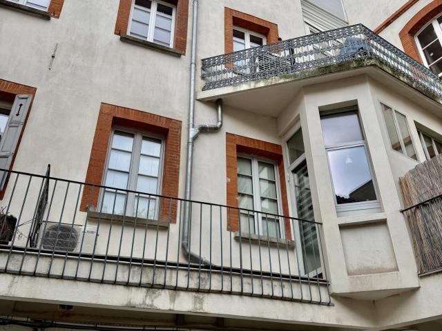 TOULOUSE Allées Jean Jaurès T2 rénové en chartreuse Calm