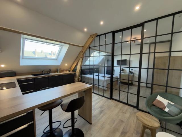 T2 MEUBLE REFAIT A NEUF HYPERCENTRE