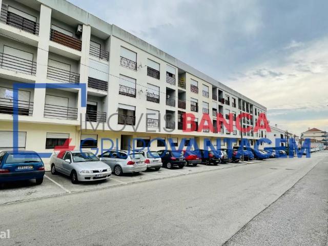 T2 PALMELA