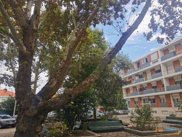T2 Remodelado, com varanda, no Montalvão | 26063123250