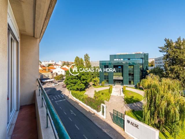 T2 renovado junto à Universidade Católica