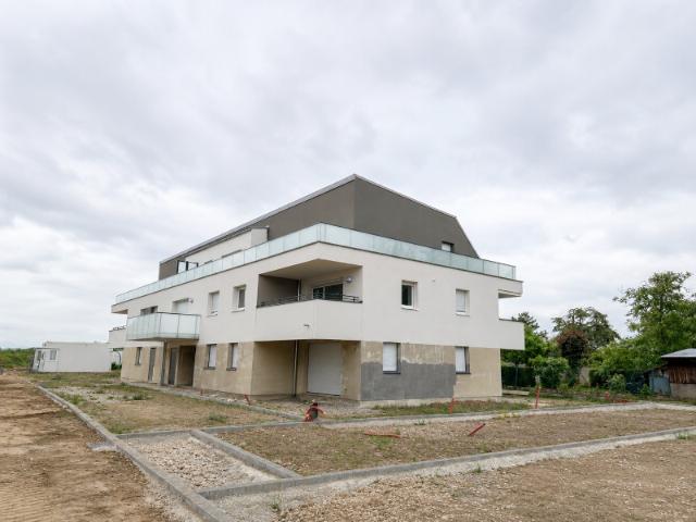 T4