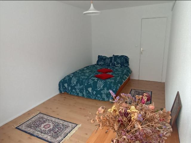 T4 3 chambres colocation solidaire 600 EUR X3