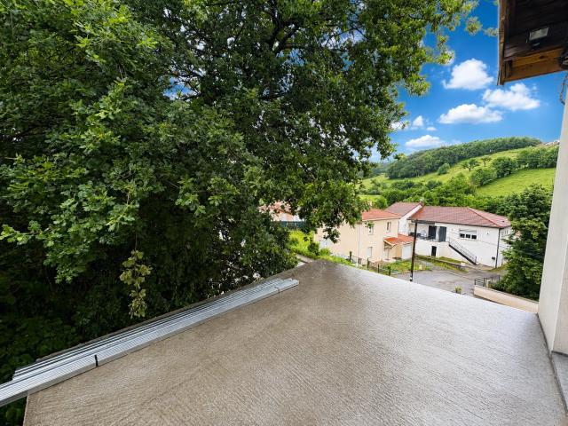 T4 de 93m2 avec terrasse vendu entièrement refait à neuf !