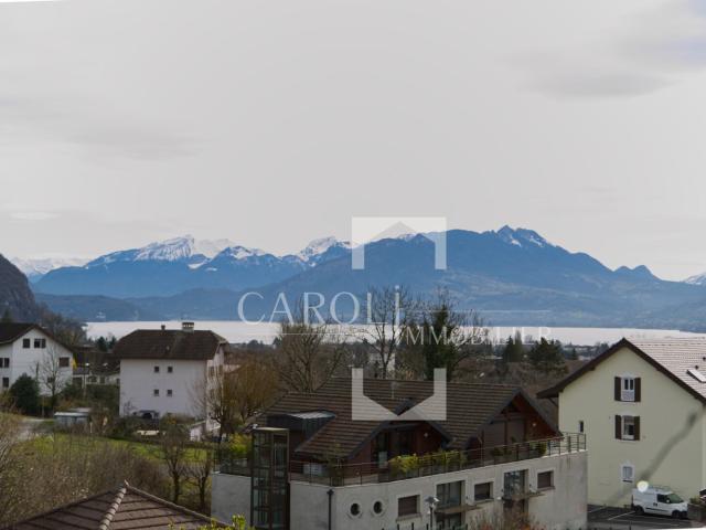 T4 Magnifique vue Lac