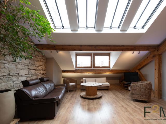 T4 MEUBLE CLIMATISE AVEC GARAGE A LOUER LYON 6