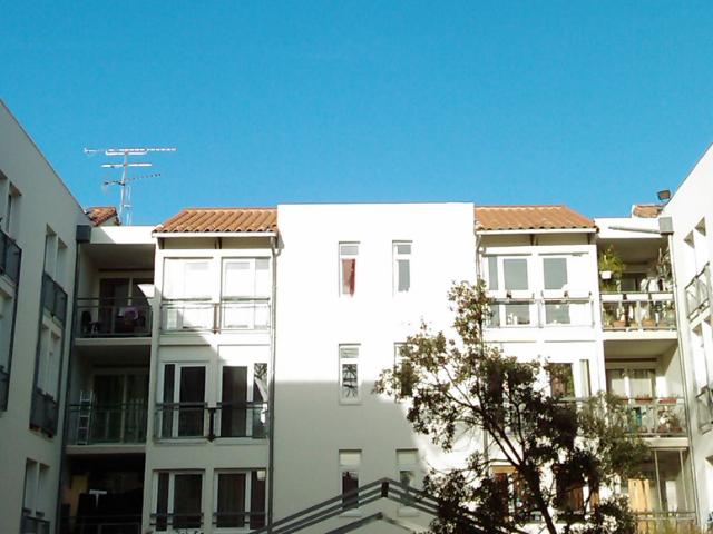 T4 NEMAUSUS 2