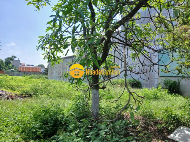 Đất mặt tiền dương công khi, hóc môn 1600m2 ngang 12m chỉ 30 tỷ