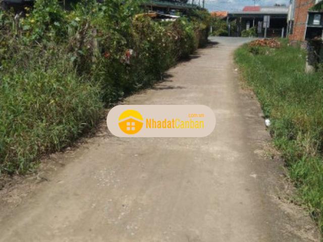 Đất nền biệt thự cách quốc lộ 30m