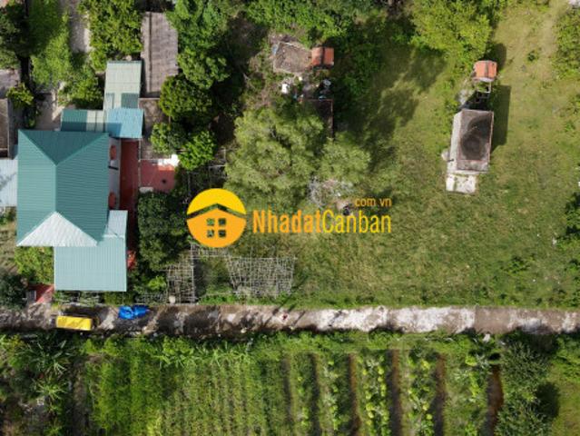 Đất nền cô tô, vị trí đắc địa, gần cảng đưa đón khách, biên độ lợi nhuận tăng nhanh