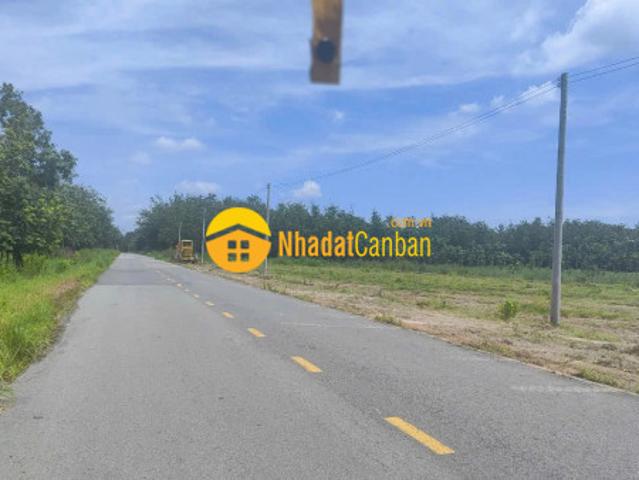Đất ngộp cuối năm diện tích lớn 1000m2 giá chỉ 900tr, mặt tiền đường giá siêu ngộp