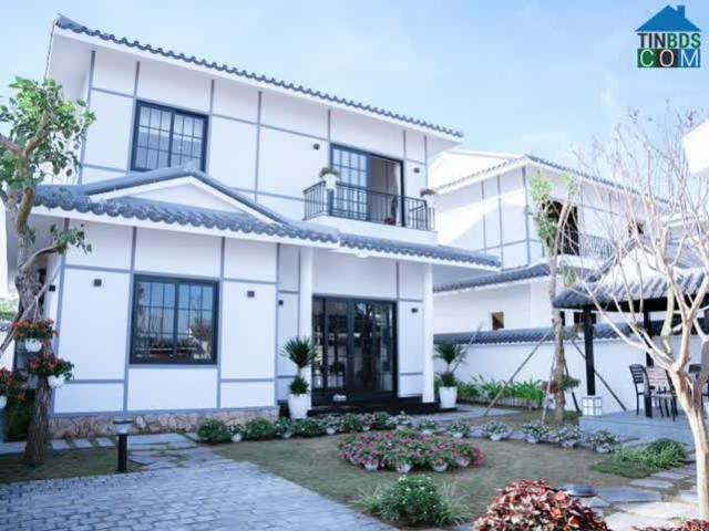 Tặng 50 triệu cho 5 Khách hàng đặt cọc Biệt thự Nhật Bản trong ngày 20/02/2024