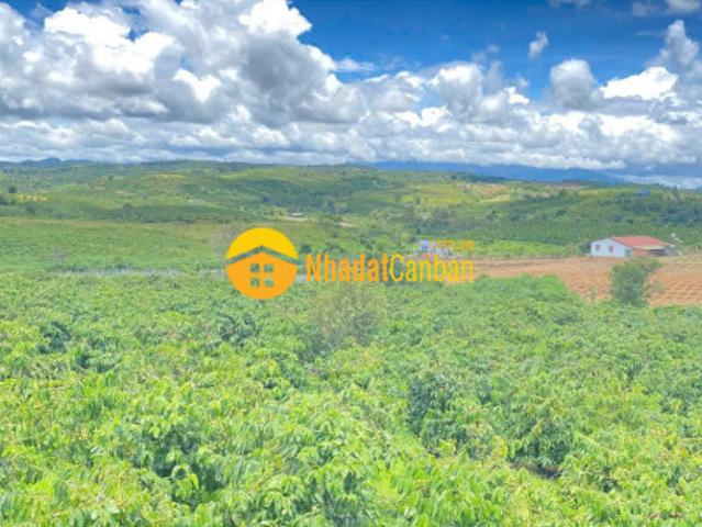 Tổng 7 sào đất mặt nhựa vào kdl thác pongour, đức trọng, lâm đồng