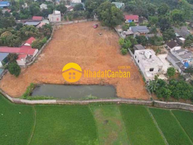 Đất nhuận trạch, lương sơn, hòa bình dt4221m2, giá 12 tỷ