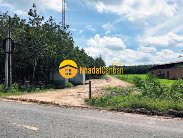 Đất bến cầu tây ninh 11.282m2 chỉ 3ty5, vị trí đẹp, sổ trao tay. Chính chủ 0988882