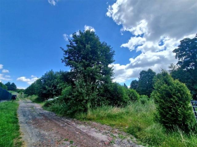 Tęczowa 1 000 m², Wodzisław Śląski