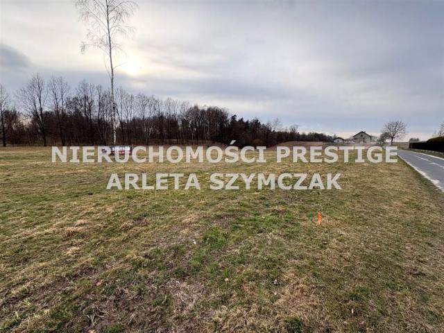 Tęczowa 844 m², Jastrzębie Zdrój