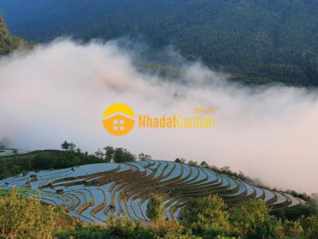 Đất cô tô nằm ngay trung tâm xã