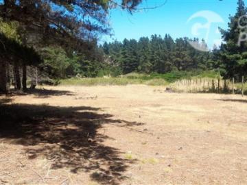 T. Construct. en Venta en Algarrobo