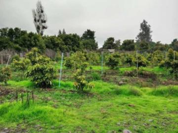 T. Construct. en Venta en Quillota