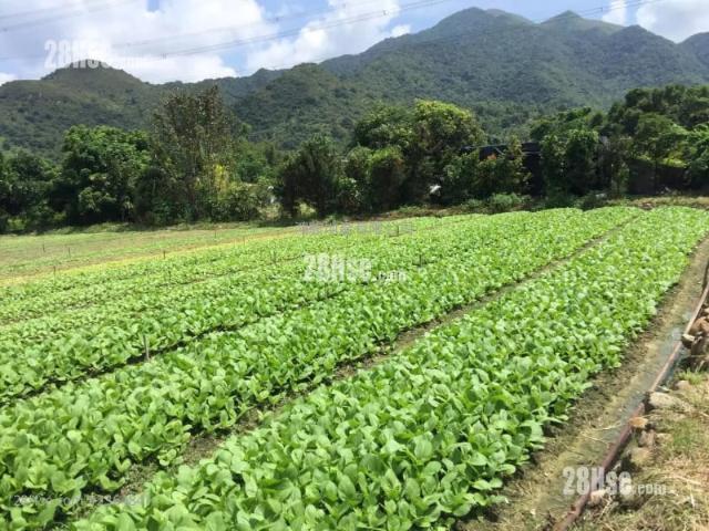土地 #2364 售盤樓盤詳細資料