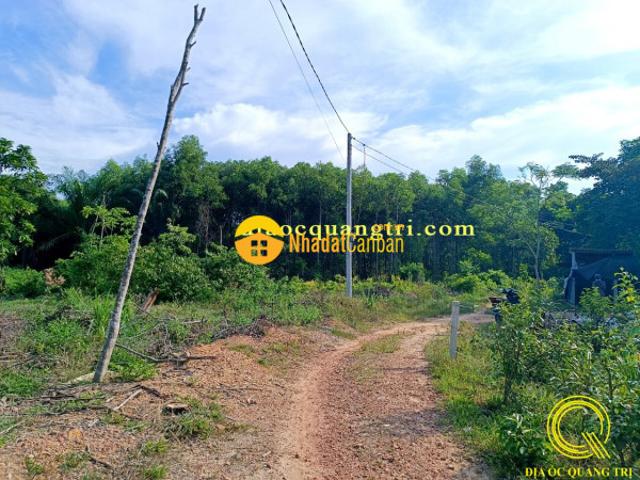 Đất kiệt bảo đại, triệu ái, triệu phong, quảng trị