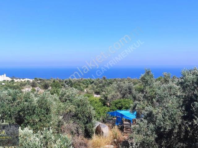 Tırtarda 2 Dönüm İçerisinde Deniz Manzara 120 M2 Müstakil Dublex