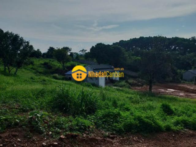 Đất siêu rẻ lương sơn, hòa bình 12000m2, giá 35 tỷ