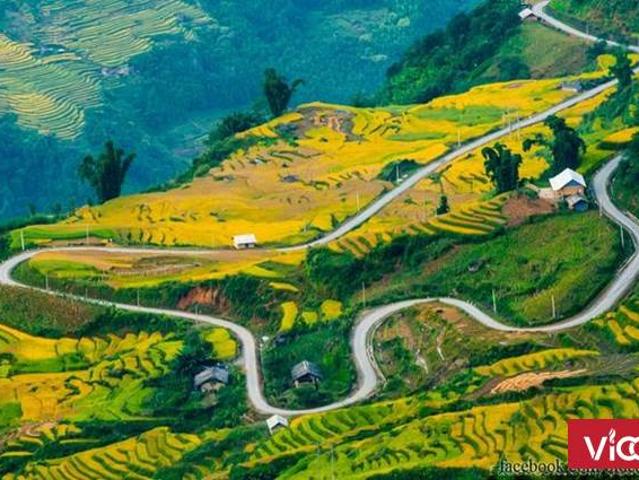 Đất Trung Tâm Y Tý hơn 1000m2 Đã Có Trích Đo Giá Đẹp Để Đầu Tư
